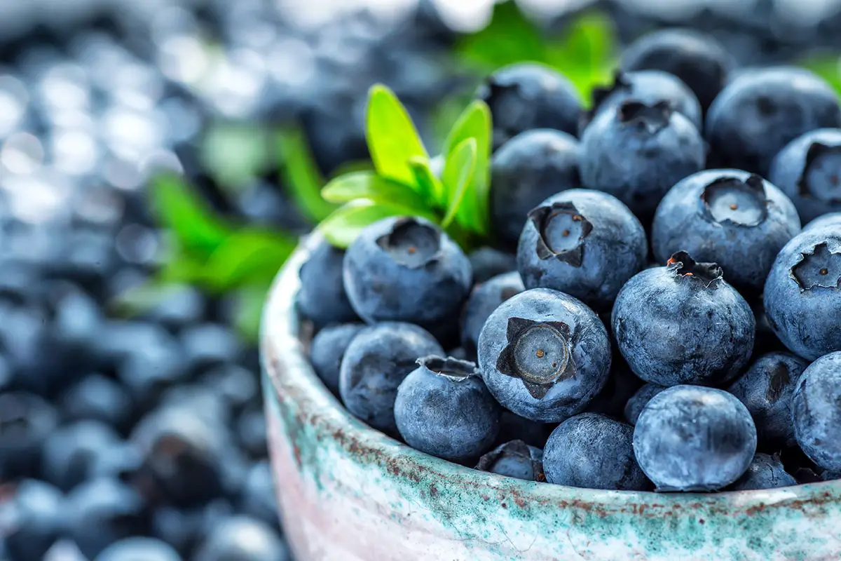 Calories In Blueberries
