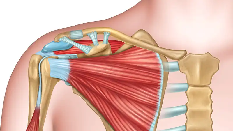 Is Swimming Good For Shoulder Injuries