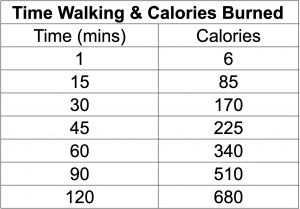 Time Walked And Calories Burned 300x209 